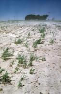 Kansas Dust Bowl, Wind Erosioding Topsoil, USA, North