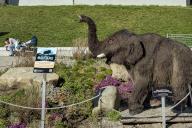Advertising for exhibition, Ice Age Safari, woolly mammoth baby, Kempten, Allgäu, Bavaria, Germany