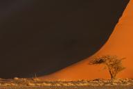 Africa, Namibia, Sand dunes of Sossusvlei