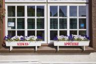 Window with flower boxes of the Swan pharmacy in the city centre of Husum, Nordfriesland district, Schleswig-Holstein, Germany