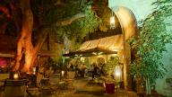 People enjoying the evening in an outdoor restaurant surrounded by trees and lights, night shot, Rhodes Old Town, Rhodes, Dodecanese, Greek Islands, Greece