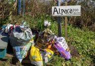 Bags of Alpaca poo on sale, Bawdsey, Suffolk, England