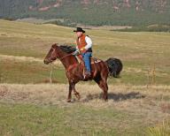 A cowboy riding across the prairie, Wyoming, United States, North