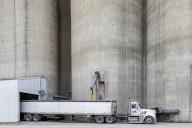 Webster City, Iowa, A truck driver loads corn from grain