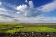 Wide tidal landscapes at low tide, Lindisfarne, Northumberlands, England, Great