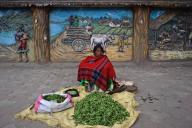 Vegetable seller, mural decoration in the street, Hazaribagh, Jharkhand, India