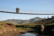 Woman walking on a suspension bridge to cross a river, woman carrying livestock feed, Ethiopian
