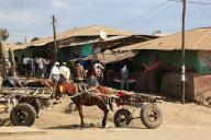 In the highlands of Abyssinia, in the Semien Mountains, Semien Mountains, village of Debark, street scene, donkey team, Ethiopia