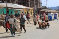 In the highlands of Abyssinia, in the Semien Mountains, Semien Mountains, village of Debark, street scene, goats, Ethiopia