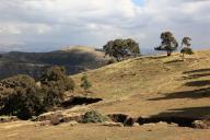 In the highlands of Abyssinia, in the Semien Mountains, landscape in Semien Mountains National Park, Ethiopia