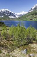 Landscape at lake Dalavatnet, Sogndal, Sogn og Fjordane Fylke, Norway, May 2012