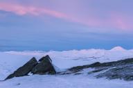 Landscape in midwinter light, Norrbotten, Lapland, Sweden, January 2014