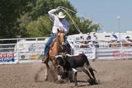 Cowboys race during the team roping event, Strathmore Heritage Days, Rodeo, Strathmore, Alberta, Canada, North