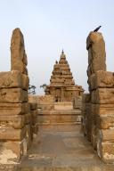 Shore temple dedicated to gods Vishnu and Shiva built c. 700, 728 in Mahabalipuram, one of the oldest temple in standing on edge of sea in Mahabalipuram Mamallapuram near Chennai, Tamil Nadu, South India, India, Asia. UNESCO World Heritage Site,