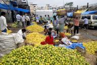 Mosamibi (Citrus limetta) at city market in Bengaluru Bangalore, Karnataka, South India, India