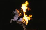 Mario Luraschi Stunt and Horse