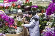 **CHINESE MAINLAND, HONG KONG, MACAU AND TAIWAN OUT** People shop flowers for Spring Festival at a flower market in Urumqi City, northwest China
