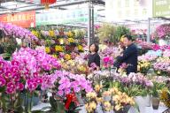 **CHINESE MAINLAND, HONG KONG, MACAU AND TAIWAN OUT** People shop flowers for Spring Festival at a flower market in Yinchuan City, northwest China