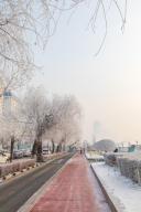 Rime scenery by Songhua River in Jilin City, northeast China