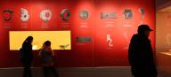 A dragon-themed exhibition is held at Nanjing Museum in Nanjing City, east China