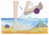 Feet paddling in sea and standing on sea urchin