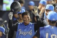 Tampa, FL USA: Tampa Tarpons catcher Edinson Duran (20) is celebrated in the dugout after scoring the tying run during a MiLB baseball game against the Lakeland Flying Tigers, Friday, April 26, 2024, at George M. Steinbrenner Field. The Flying Tigers beat the Tarpons 6-4. (Kim hukari/Image of Sport