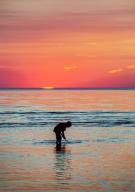 Boy net fishing for minnows at sunset, Skaket Beach, Orleans, Cape Cod, Massachusetts, USA