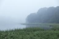 Mill Pond shrouded in morning mist, Orleans, Cape Cod, Massachusetts, USA