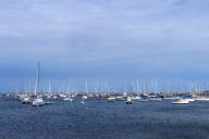 Sailboats in Vineyard Haven harbor, Martha