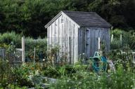 Brewster community garden tool shed