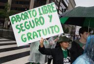 "Aborto Libre Seguo Y Gratuito" reads the sign in Spanish which means "Safe and Free Abortion.". Abortion rights activists marched to the White House in Washington D.C. on July 9, 2022 to stage a mass sit-in. (Photo by Jeff Malet