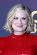 LOS ANGELES - MAR 2: Amy Poehler at the Carol Burnett - 90 Years of Laughter and Love Special Taping for NBC at the Avalon Hollywood on March 2, 2023 in Los Angeles