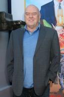 LOS ANGELES - APR 30: Dean Norris at the Unfrosted Premiere at the Egyptian Theater on April 30, 2024 in Los Angeles