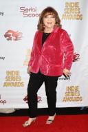 LOS ANGELES - MAY 15: Patrika Darbo at the 14th Annual Indie Series Awards at the Colony Theater on May 15, 2024 in Burbank