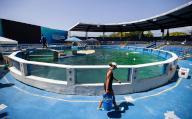 Kyra Wadsworth, a trainer at the Miami Seaquarium, is seen working near Lolita