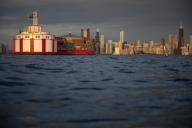 The downtown Chicago skyline can be seen beyond the Harrison-Dever water intake crib in Lake Michigan on Wednesday, June 22, 2022. (Erin Hooley/Chicago Tribune/TNS
