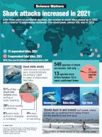 Weekly Science Matters graphic: Increase in shark attacks worldwide; statistics. TNS