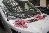 Cherry blossoms collected on a truck in Chelsea in New York on Monday, May 6, 2024. (Â Richard B. Levine