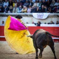 AZRIA JEAN CLAUDE/WORLDPICTURES/MAXPPP ; 18 / 05 / 2024 / NIMES / GARD / FRANCE / ARENES DE NIMES / FERIA DE PENTECOTE / CORRIDA / EL RAFI Nimes, France, may 19th 2024 Bullfighting