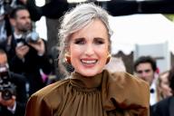 May 27, 2023 - Cannes, France. Andie MacDowell. The 76th International Cannes Film Festival, from May 16 to 27, 2023. (Piero Oliosi/Polaris