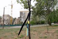 DNIPRO, UKRAINE - APRIL 25, 2024 - Black and blue and yellow ribbons are tied to a tree outside the apartment building at 118 Naberezhna Peremohy Street that was hit by the Russian Kh-22 missile on January 14, 2023, which killed 46 people, including 6 children, Dnipro, central Ukraine. (Ukrinform\/POLARIS