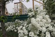 DNIPRO, UKRAINE - APRIL 25, 2024 - Bushes are blooming outside the apartment building at 118 Naberezhna Peremohy Street hit by the Russian Kh-22 missile on January 14, 2023, killing 46 people, including 6 children, Dnipro, central Ukraine. (Ukrinform\/POLARIS
