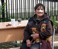 KHARKIV, UKRAINE - MAY 13, 2024 - A smiling elderly woman with a bandaged nose holds two dogs at a centre for people evacuated from Kharkiv region, Kharkiv, northeastern Ukraine. (Ukrinform/POLARIS