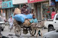 QUETTA, PAKISTAN, MAY 19: Donkey-cart riders carry goods passing towards their destination to earn their livelihood for support their family, at Jinnah road in Quetta on Sunday, May 19, 2024. (Sami Khan/PPI Images