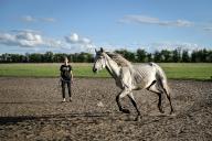 ZAPORIZHZHIA, UKRAINE - MARCH 30, 2024 - A horse is seen during the training session on the island of Khortytsia, Zaporizhzhia, southeastern Ukraine., Credit:Dmytro Smolienko \/ Avalon