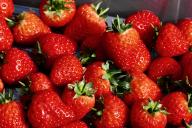 A punnet of fresh strawberries. 1.92 million strawberries are picked and sold for Wimbledon. Every day at Wimbledon, strawberries are freshly picked in Kent and delivered so that spectators get the freshest strawberries to enjoy, and over the course 