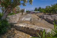 View of Ancient Agora and flowering trees, Kos Town, Kos, Dodecanese, Greek Islands, Greece, Europe