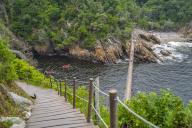 View of suspension bridge at Storms River, Tsitsikamma National Park, Garden Route National Park, South Africa, Africa