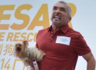 Dog whisperer Cesar Millan talks about dog behaviour at the National Geographic Channel Rescue day at Stanley Plaza in Hong Kong. 10MAY14 == Antony DICKSON ==