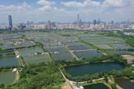 Aerial view of San Tin area at North New Territories. At the backdrop is Shenzhen City. 05OCT21 SCMP / Winson